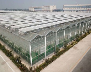 温室环境解决方案